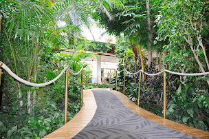 Photo n°51 de Restaurant 