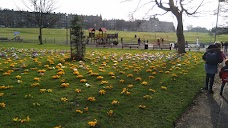 The Meadows edinburgh