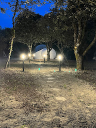 Photo n°4 de Bulle de Nuit à Mazan (Chambre d'hôtes)