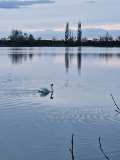 Parkplatz Altrheinsee - Thumbnail