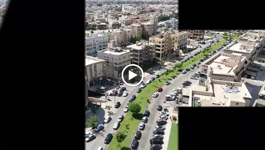 Columbia Animal Hospital-Sheikh Zayed - صورة 3