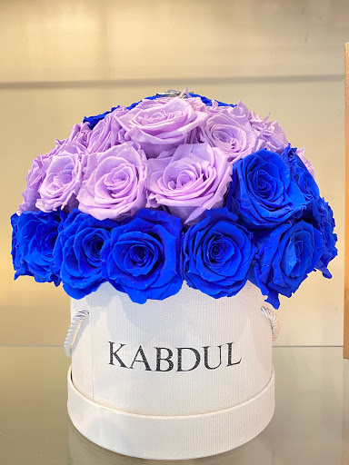 Kabdul Gallery - United States