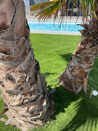 Photo n°17 de Green Arts à Saint-Gély-du-Fesc (Fournisseur de gazon)