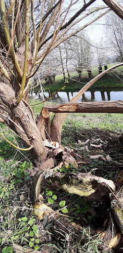 Vogelschutzgebiet - Visual