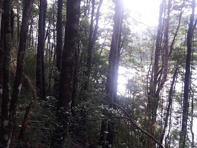 Photos of Laguna Quepe
