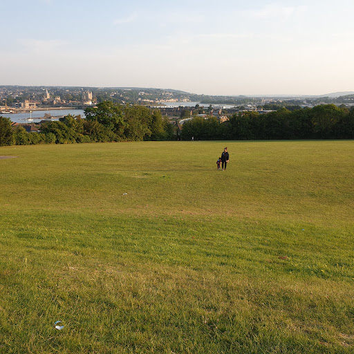 Frindsbury Park
