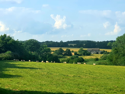 Dairymeade Farm Glamping - Thumbnail