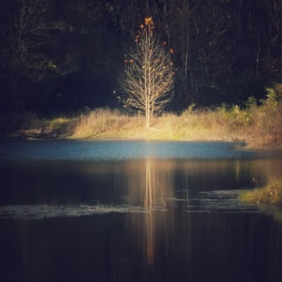Photos of Kickapoo State Recreation Area