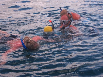 Photos of Hotdog Watersport And Dive Center