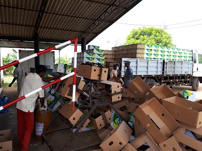 Photos of CIC Banana Packing Center