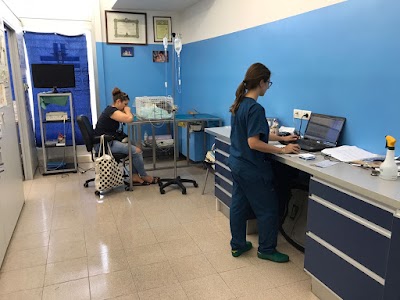 Ambulatorio Veterinario Fiocco Scalvi