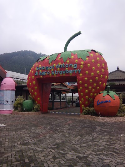 Photos of Villa Fortune