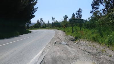Photos of Contulmo Natural Monument