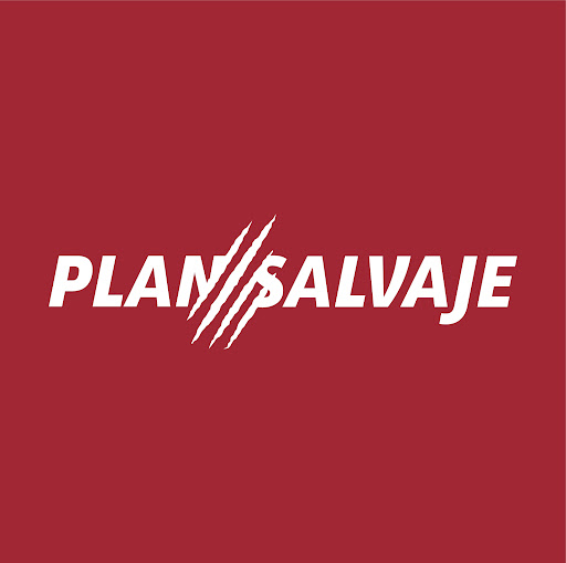 PLAN SALVAJE - Visual