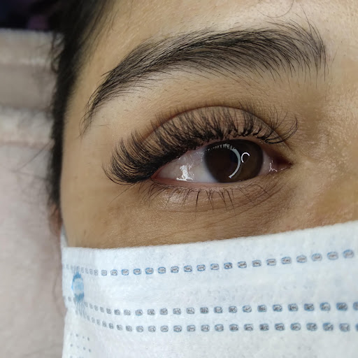 Study Lash PM - Visual