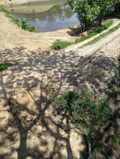 Photos of Finca El Paraiso