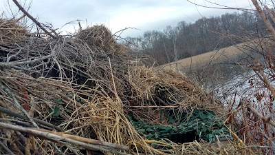Photos of Haynes Bottom WMA
