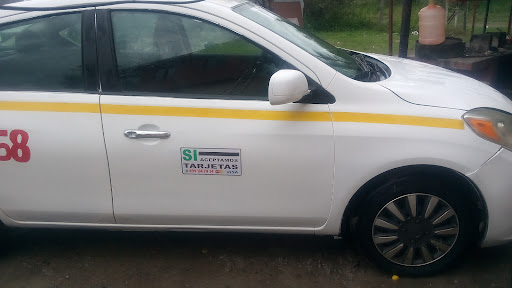 Taxi Plus Río Bravo