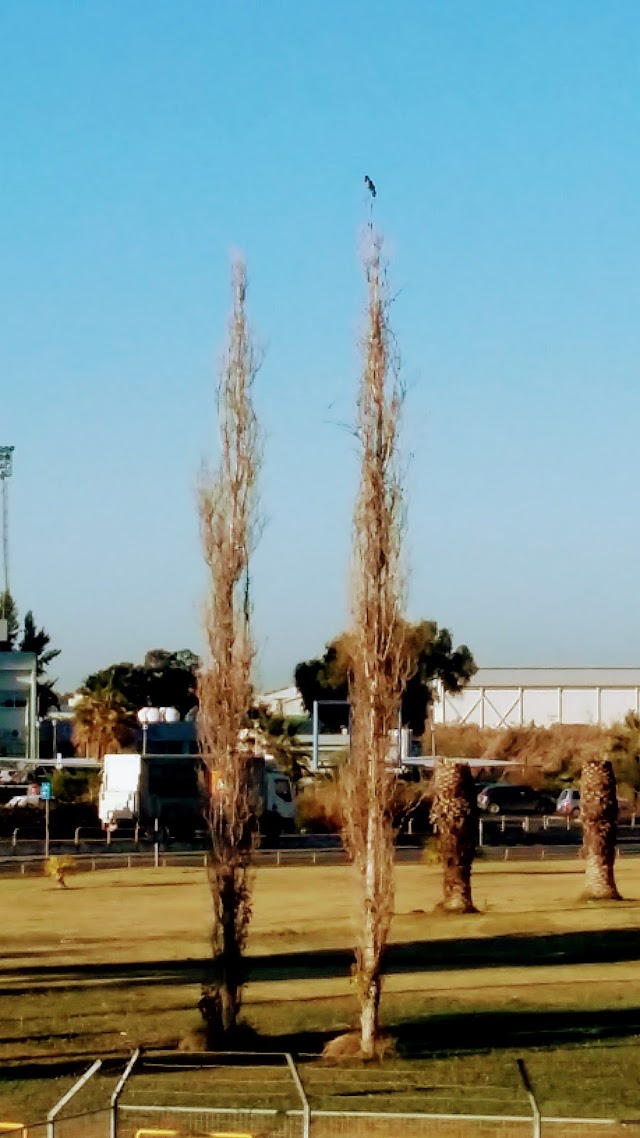 Limassol Port