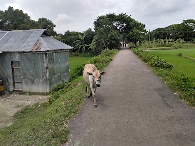Photos of Balijura Bazar