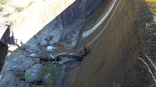 Lower Gosford Railway Dam - Thumbnail