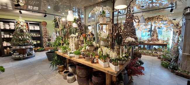 Avis sur Jardin Loisirs à Calais - Fleuriste