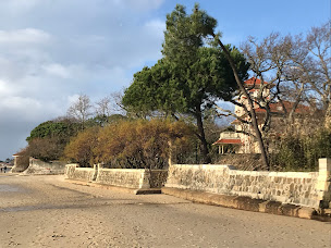 Photo n°7 de IMMOBILIER Coeur de Bassin à Andernos-les-Bains (Agence immobilière)