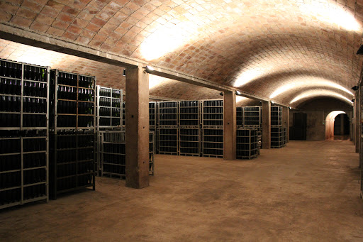 Bodegas Canals & Munné Vinos y Cavas. Visitas Sant Sadurni