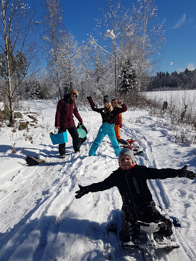 Lejonbacken - Visual