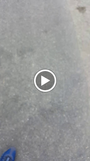 Photo de Résidence Les Hortensias