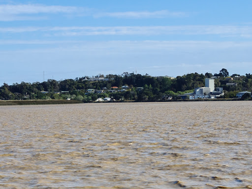 Dargaville Wharf - Thumbnail