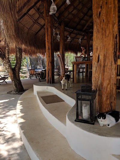 Photos of Villa Morena Ecoliving