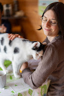Communication animale et soins énergétiques - Marion CANAPLE - A l'Unisson du Vivant à Bouchemaine