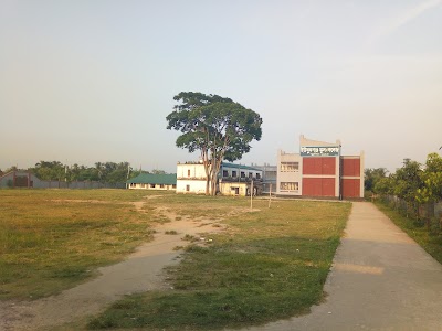 university