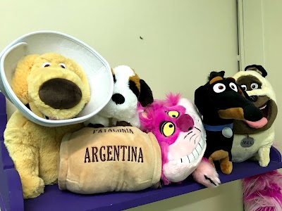 Photos of Planeta Veterinario