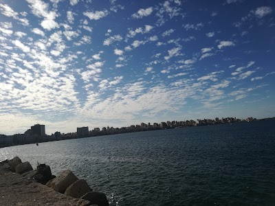 Photos of Al Noby Al Gaded