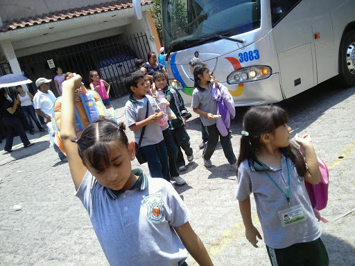 Escuela Primaria Francisco Torres Sotelo - Thumbnail