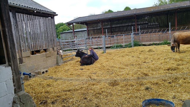 Standalone Farm