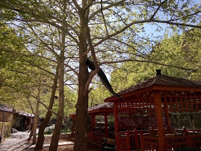 Photos of Kanyon Balık Sofrası