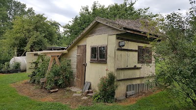 Photos of Ferienwohnungen Schuricht
