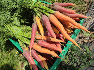 Photo n°3 de Les Légumes de César à Cussy (Épicerie)