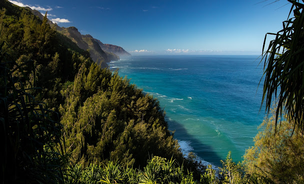 Hanalei Colony Resort by null
