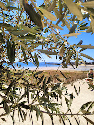 Photo n°18 de La Guinguette de Toulhars à Larmor-Plage (Restauration rapide)