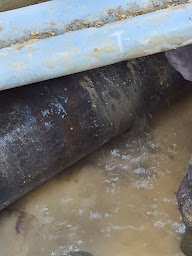 Photo n°26 de Fast Detection à Roeschwoog (Fournisseur d'équipements industriels)