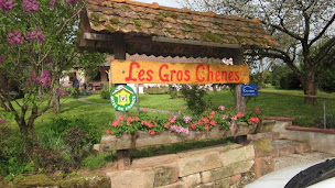 Photo n°3 de Chambre D'hôtes Belfort Les Gros Chênes à Frahier-et-Chatebier (Gîte)