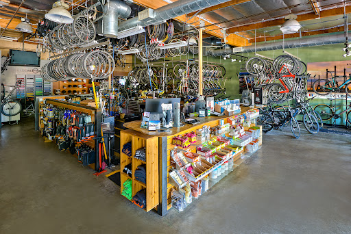Serious Cycling in Agoura Hills - Thumbnail