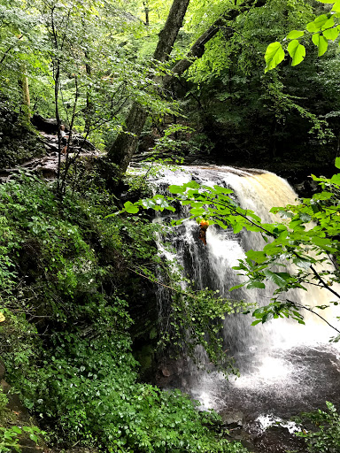 Sheldon Reynolds Waterfall - Thumbnail