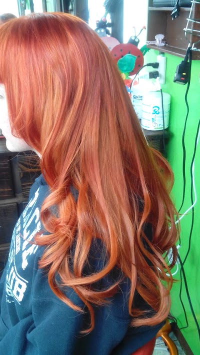 Photos of Even&acute;s/salon