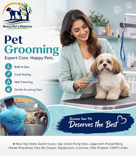 Bhola Pet's Hospital offers expert pet grooming services at the best pet clinic near me. Trust ou… post image