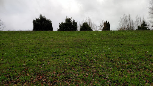 Moore Island - Visual